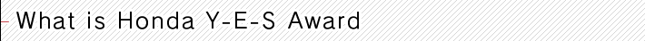 What is Y-E-S Award